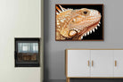 Pixalot ® Bearded Dragon
