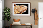 Pixalot ® Bearded Dragon