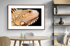 Pixalot ® Bearded Dragon