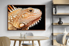 Pixalot ® Bearded Dragon
