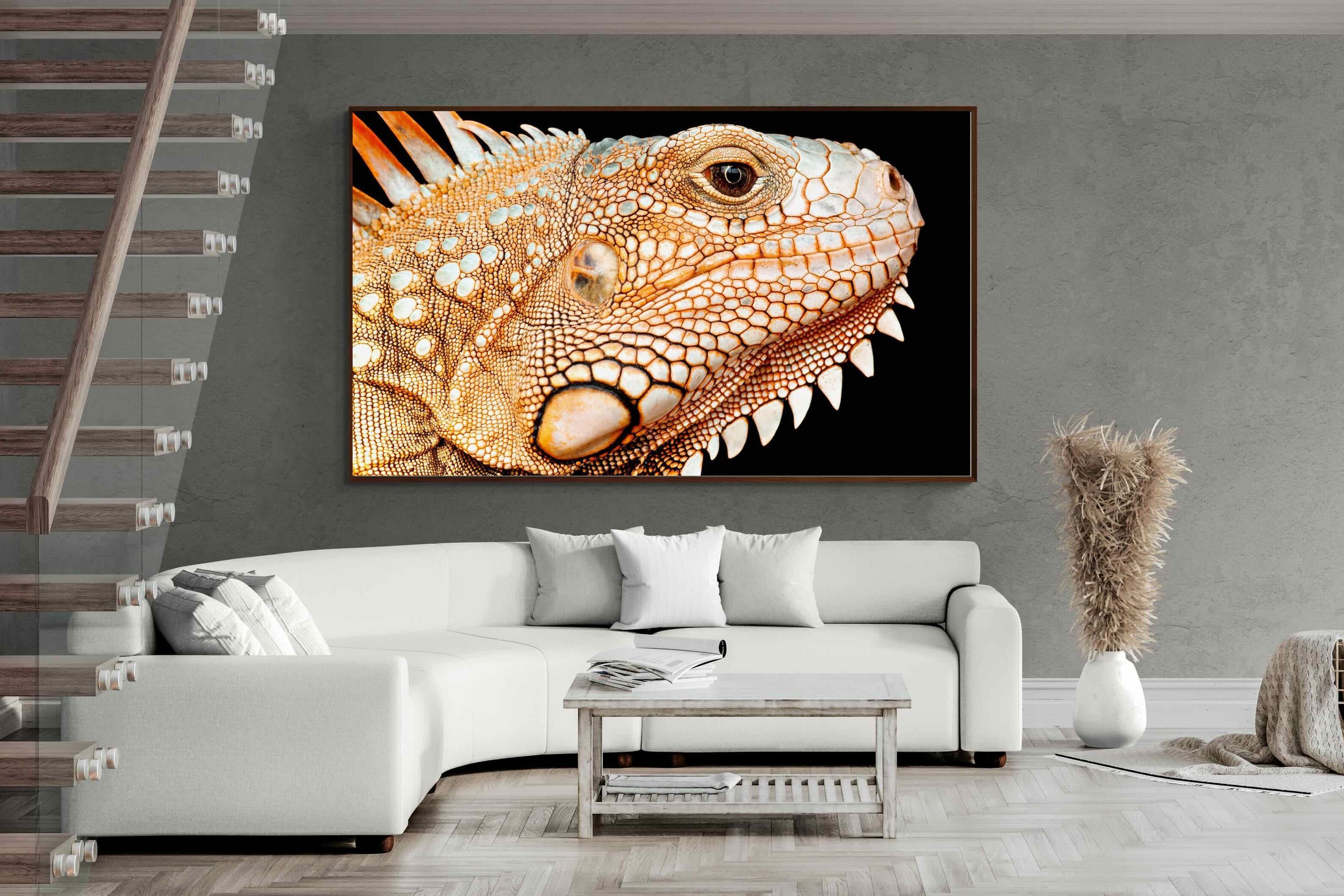 Pixalot ® Bearded Dragon