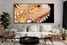 Pixalot ® Bearded Dragon