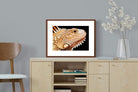 Pixalot ® Bearded Dragon