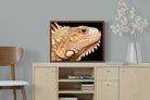 Pixalot ® Bearded Dragon