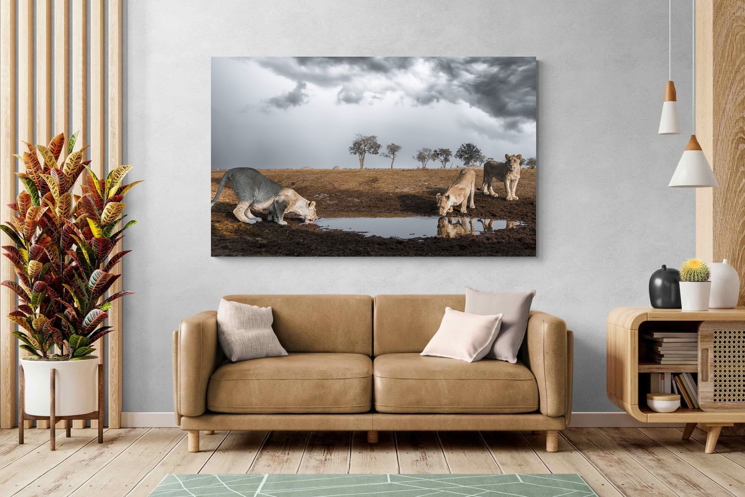 Pixalot Before the Storm