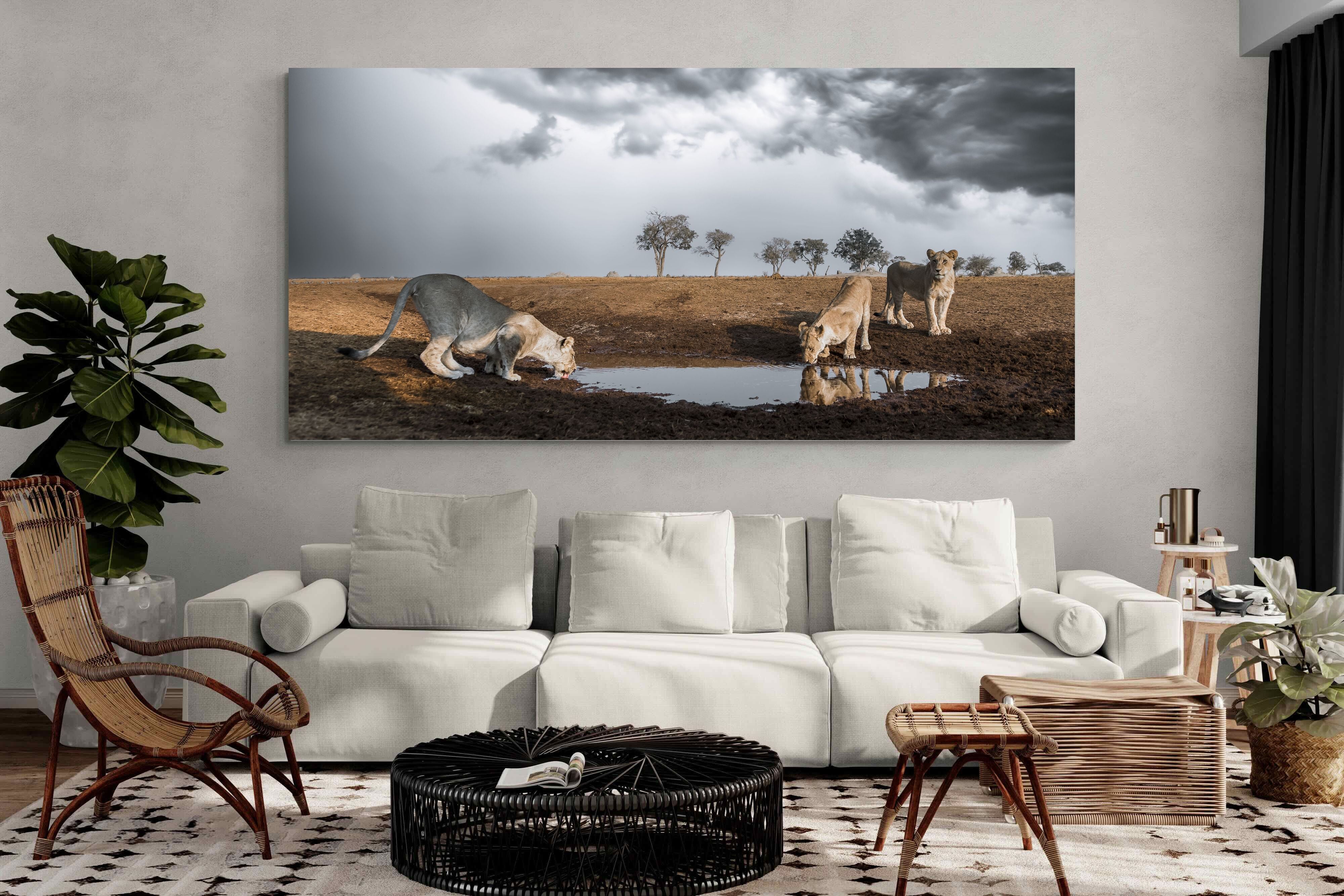 Pixalot Before the Storm