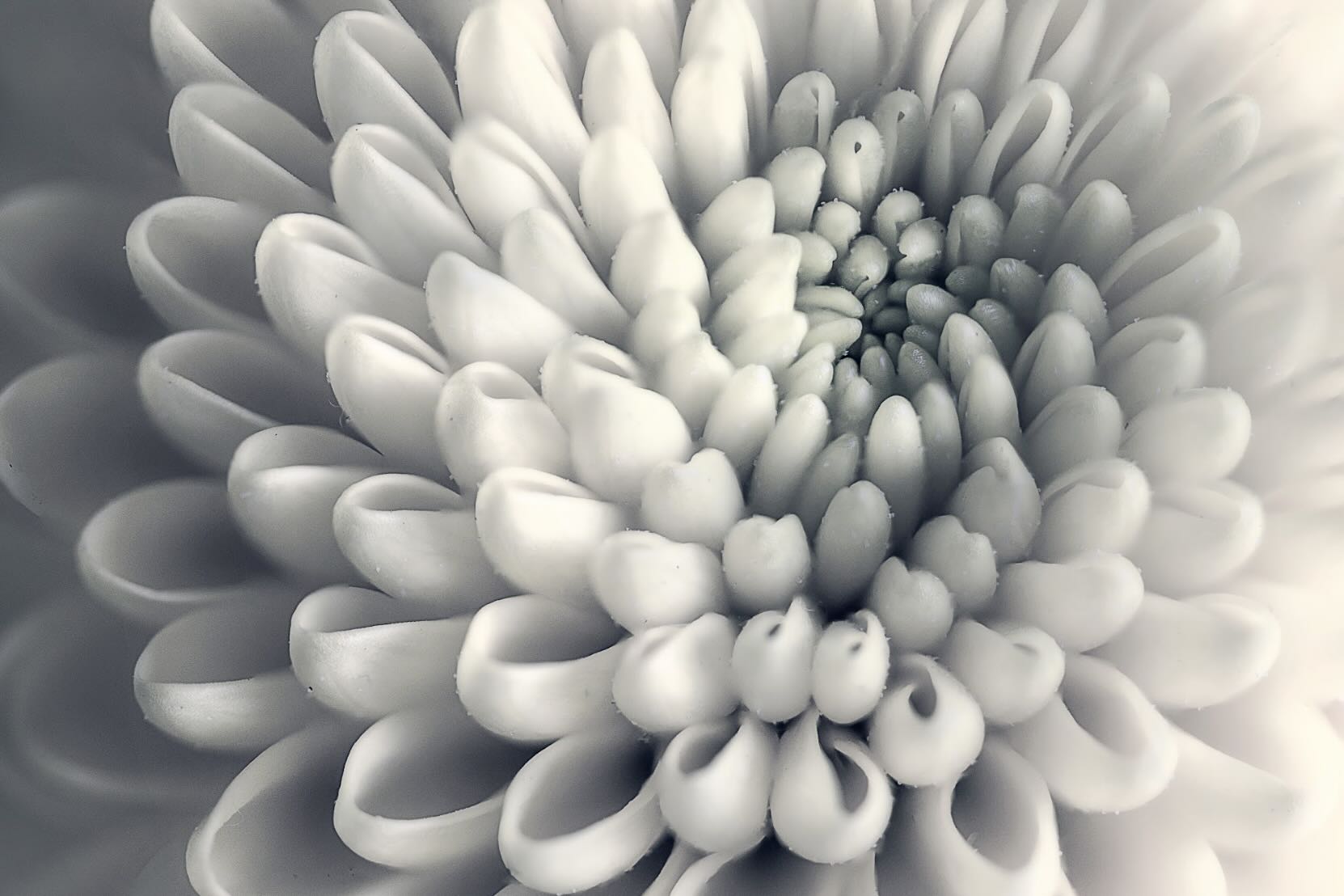 Dragable Image