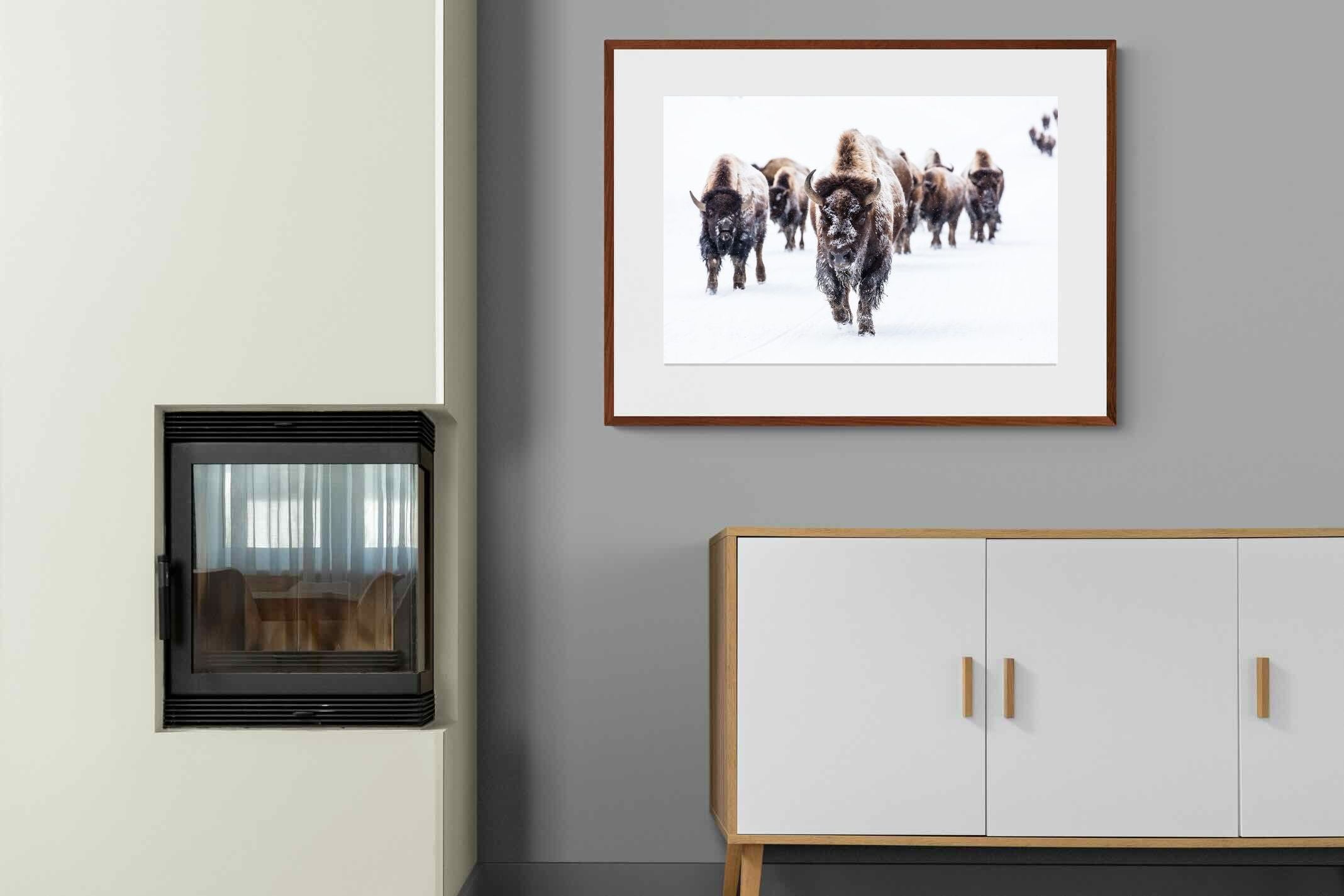 Pixalot ® Bison Herd