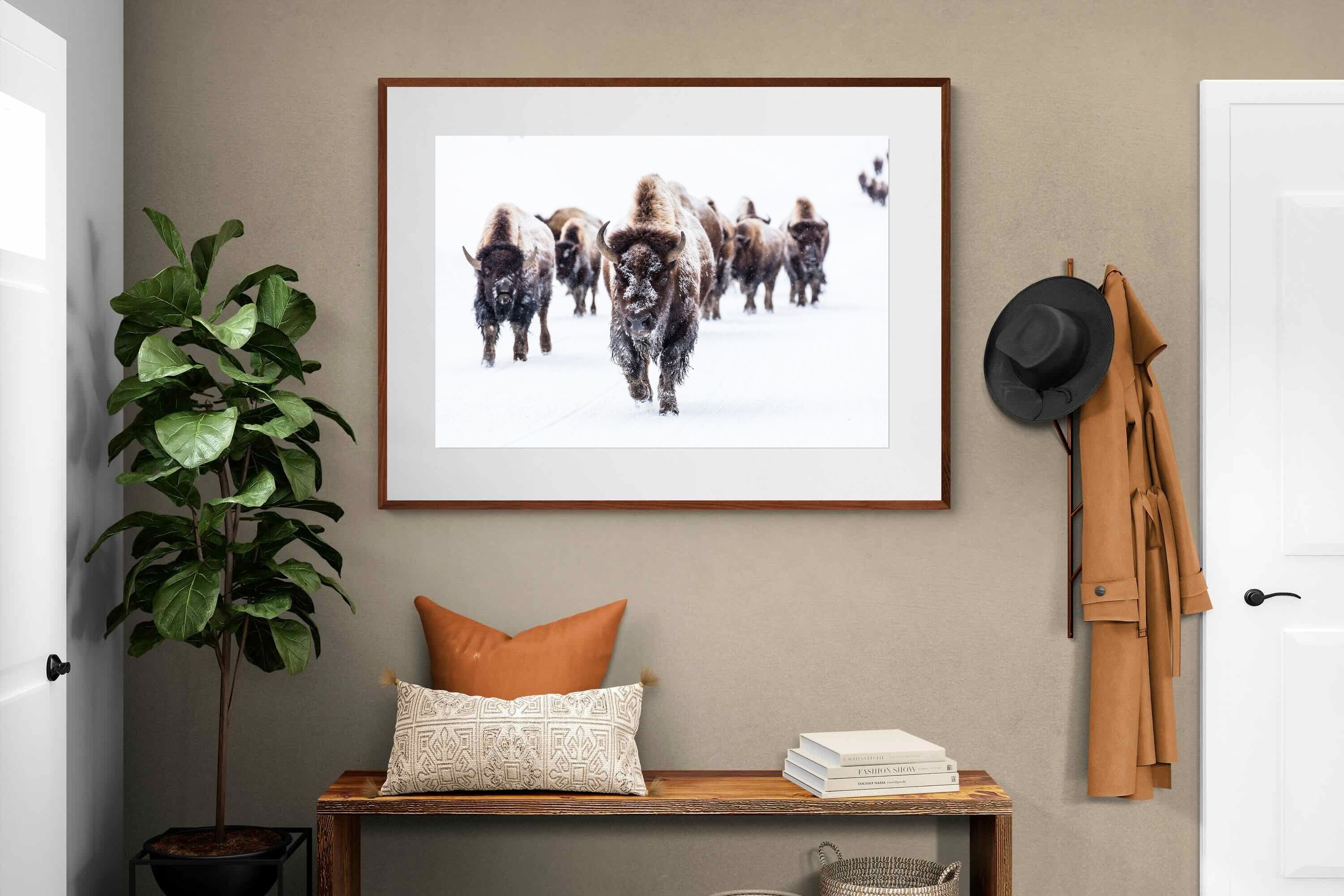 Pixalot ® Bison Herd