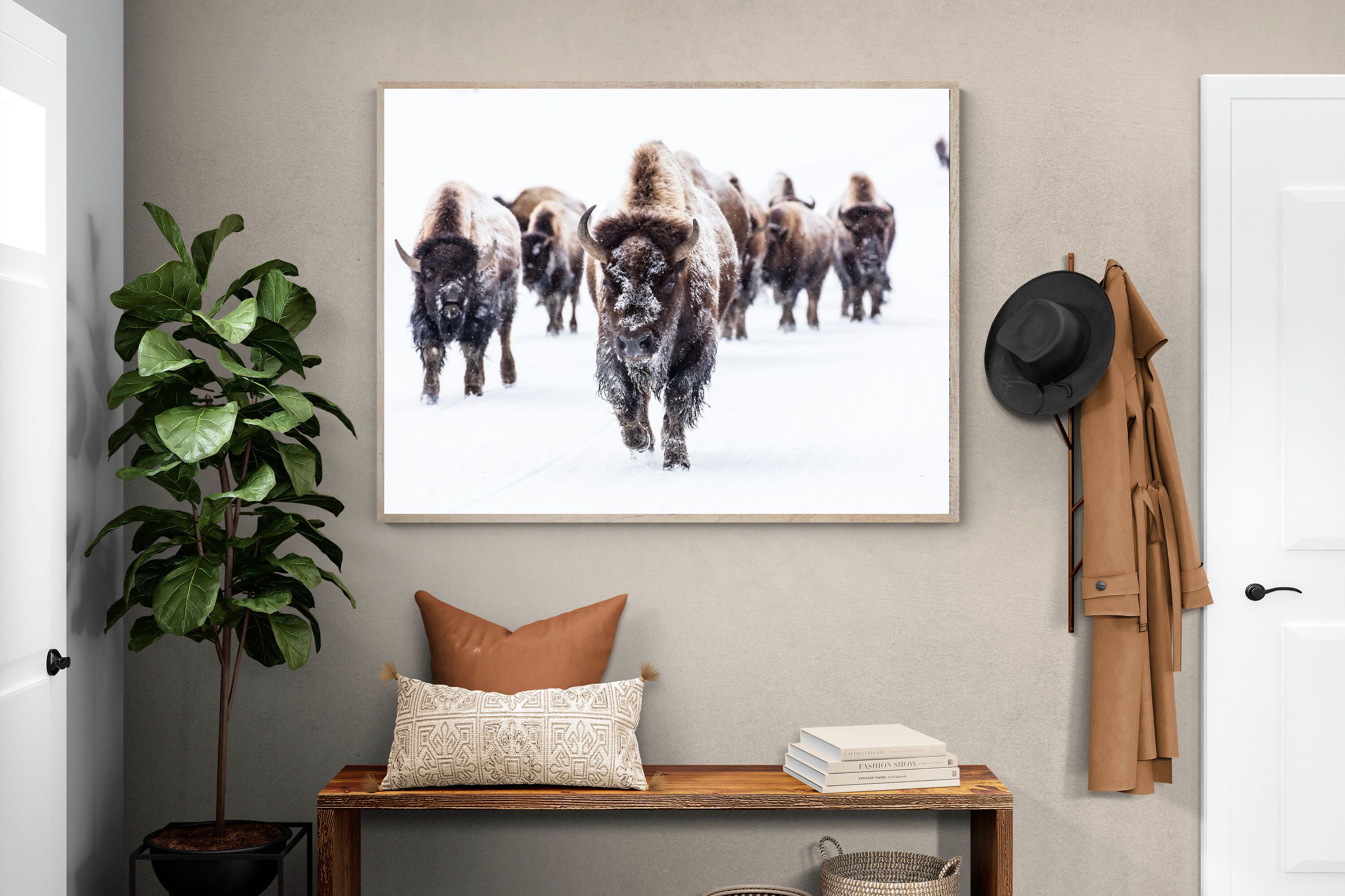 Pixalot Bison Herd