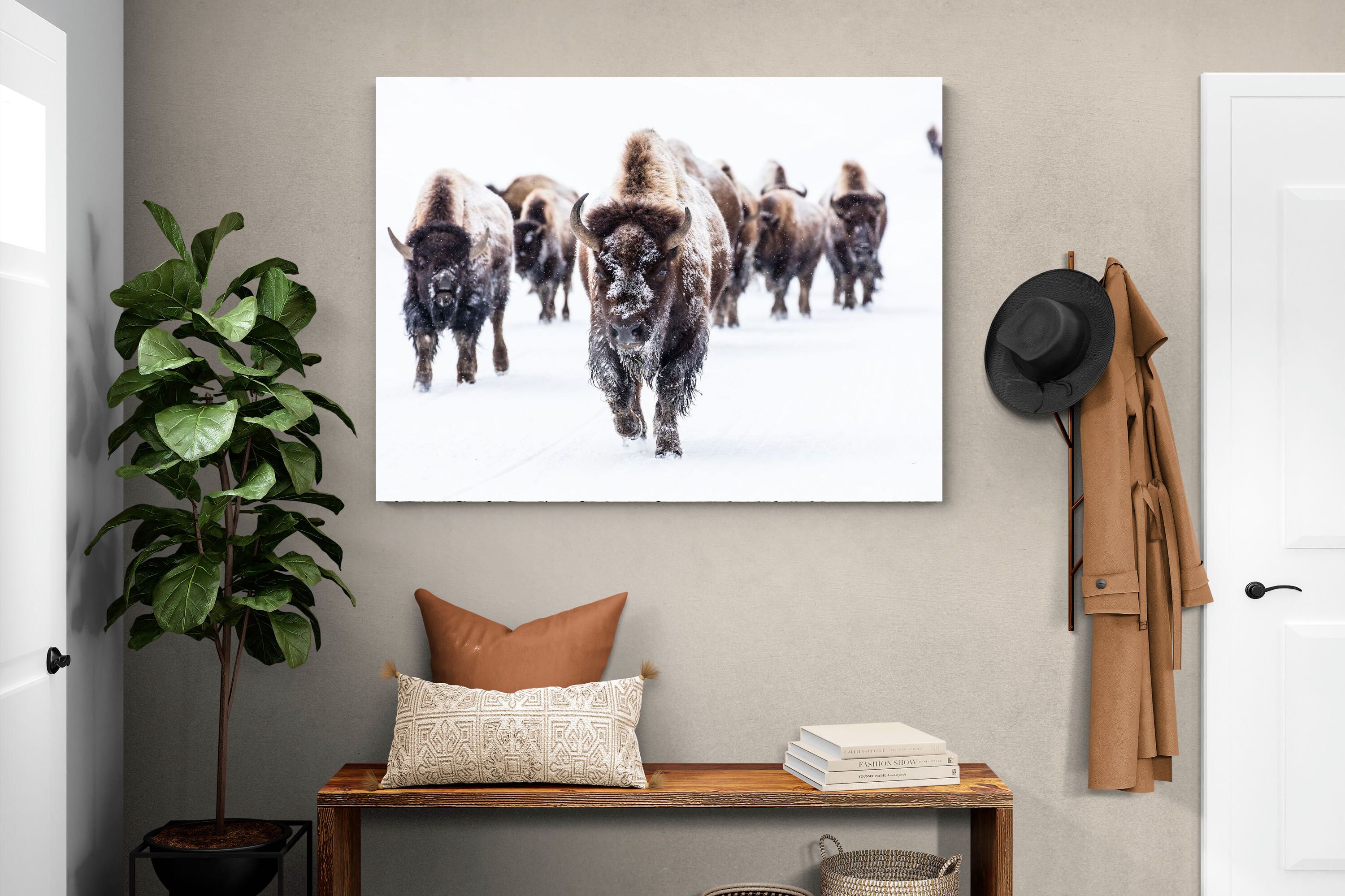 Pixalot Bison Herd