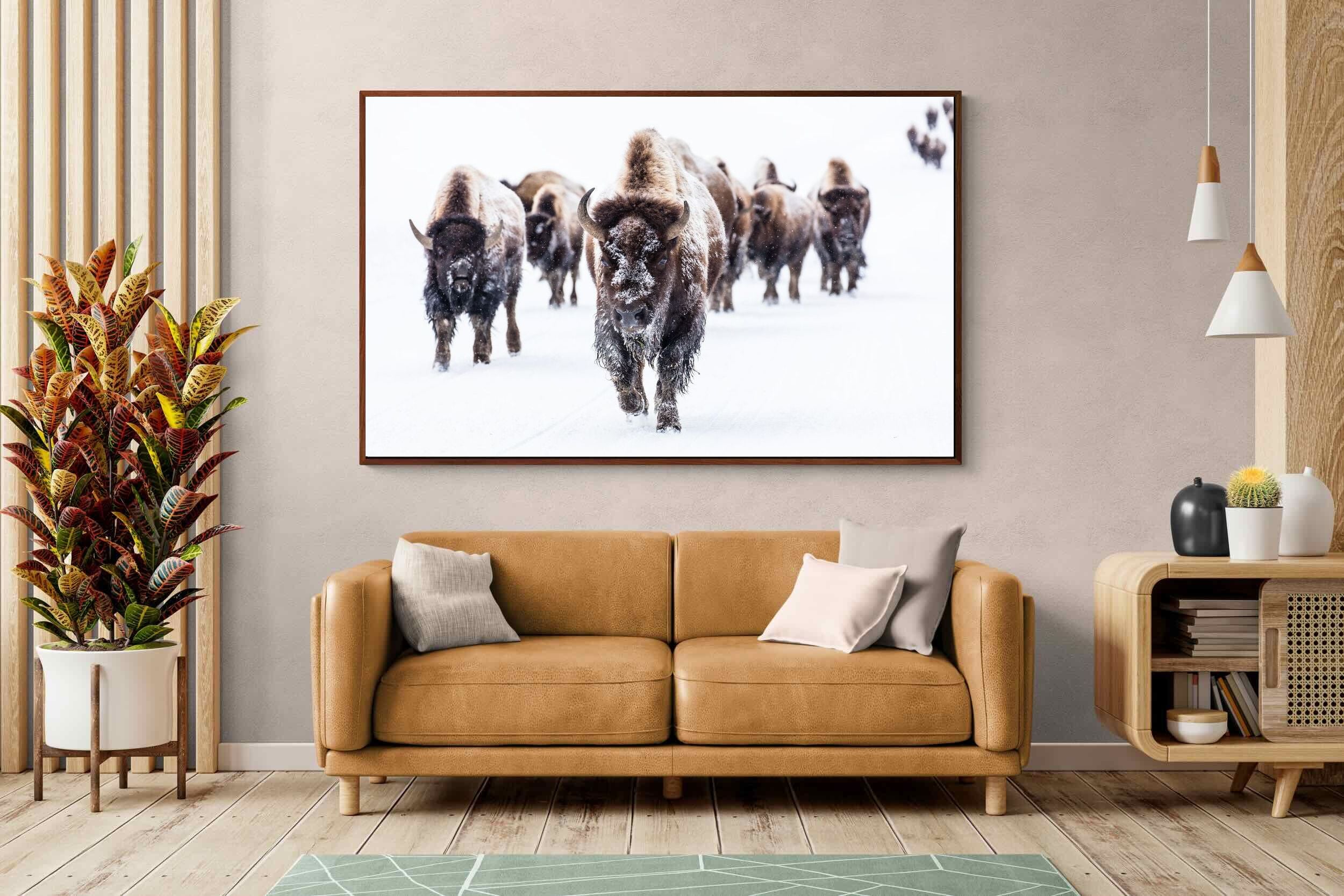 Pixalot ® Bison Herd