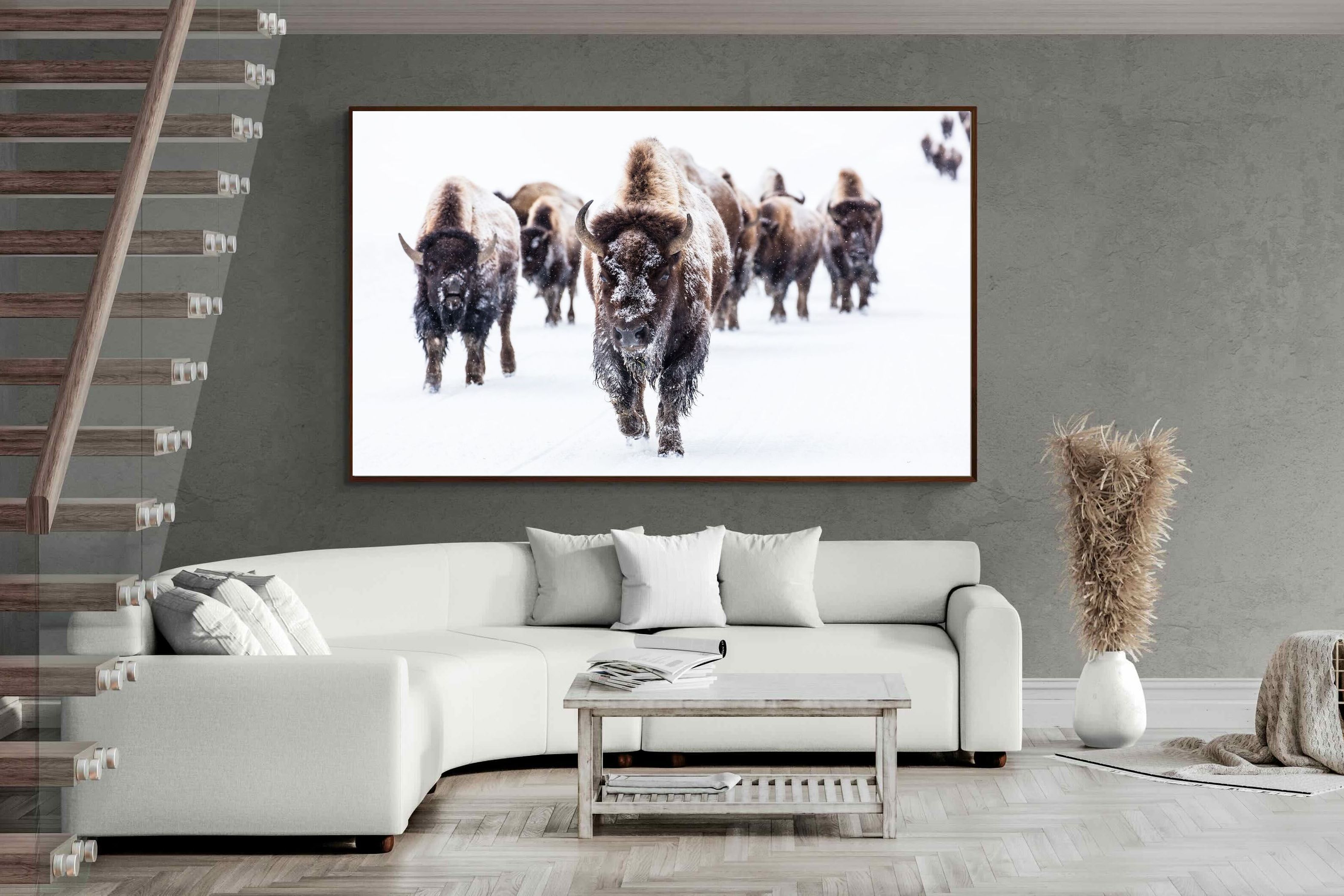 Pixalot ® Bison Herd