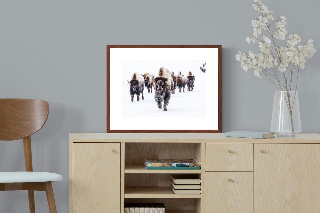 Pixalot ® Bison Herd