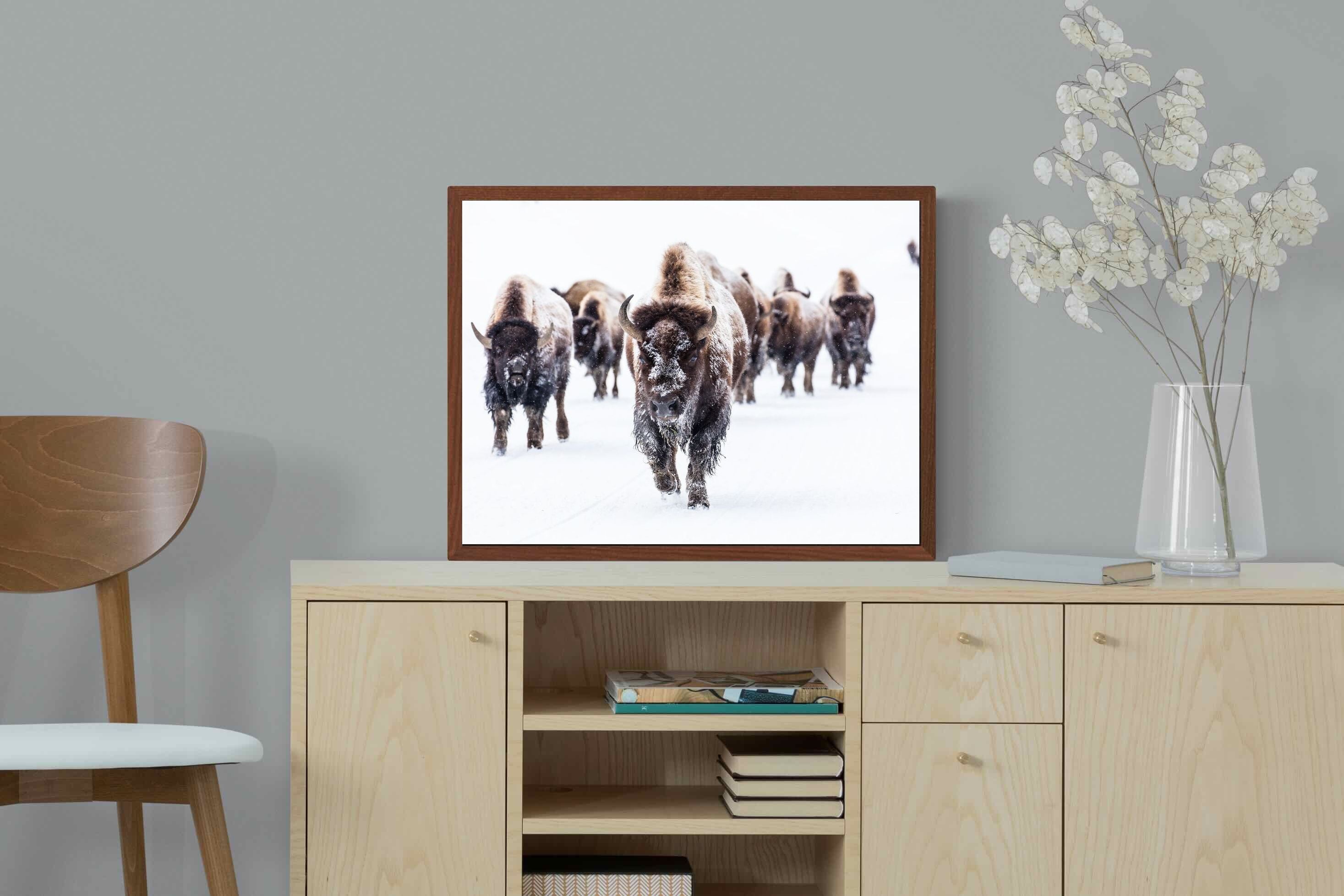 Pixalot ® Bison Herd