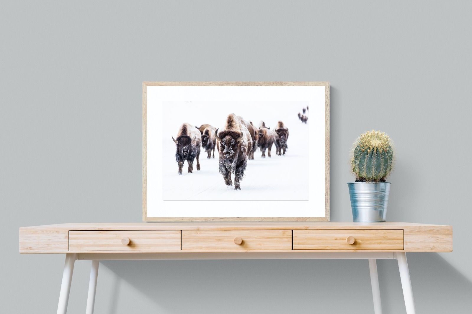 Pixalot Bison Herd