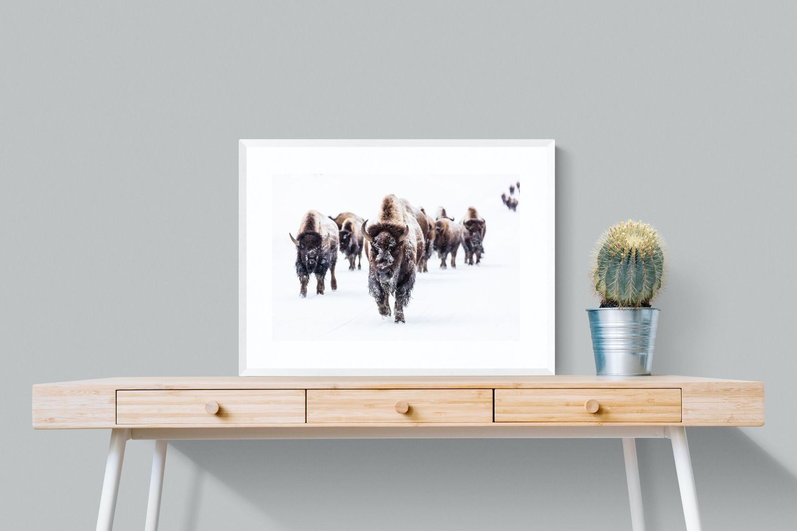 Pixalot Bison Herd