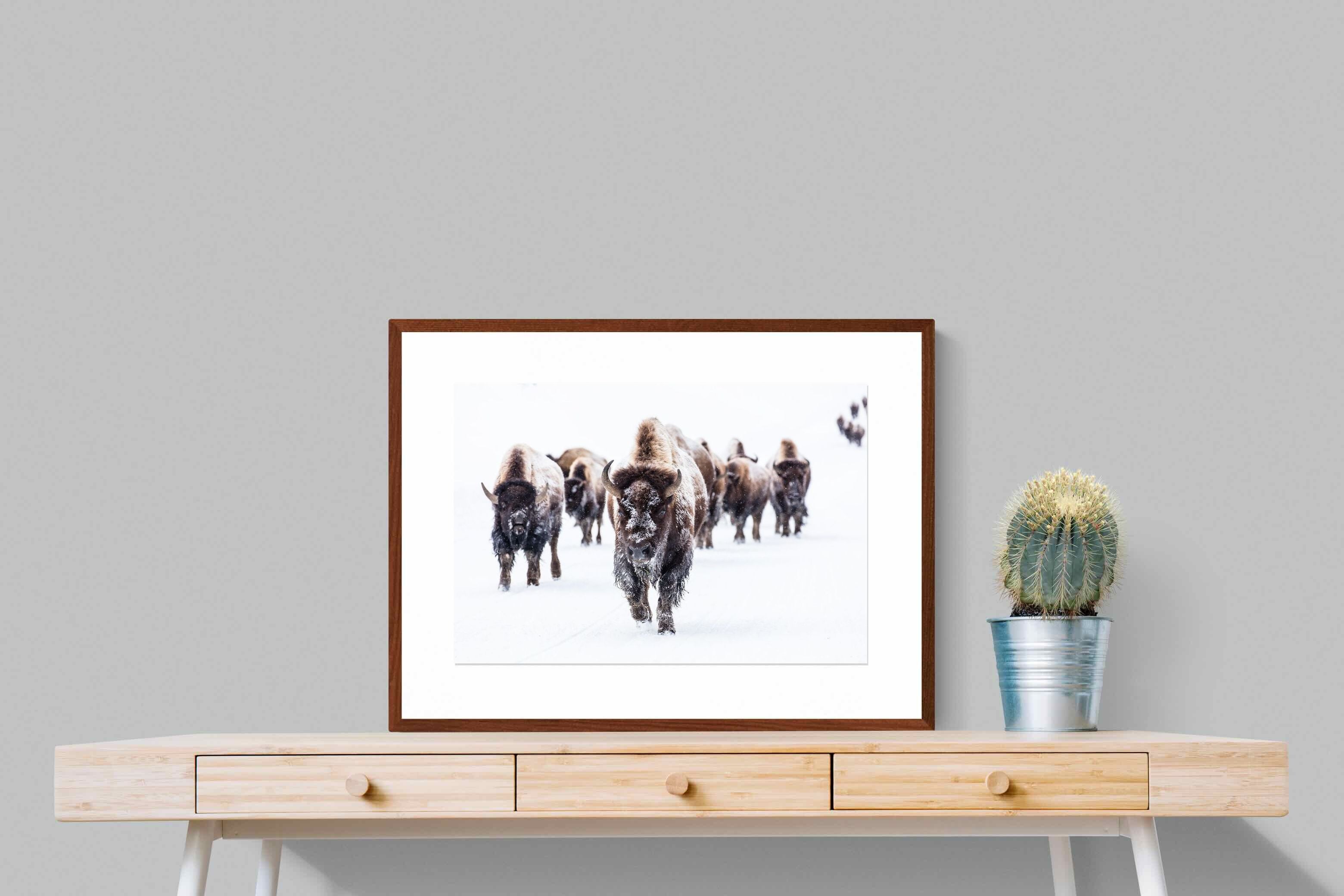 Pixalot ® Bison Herd
