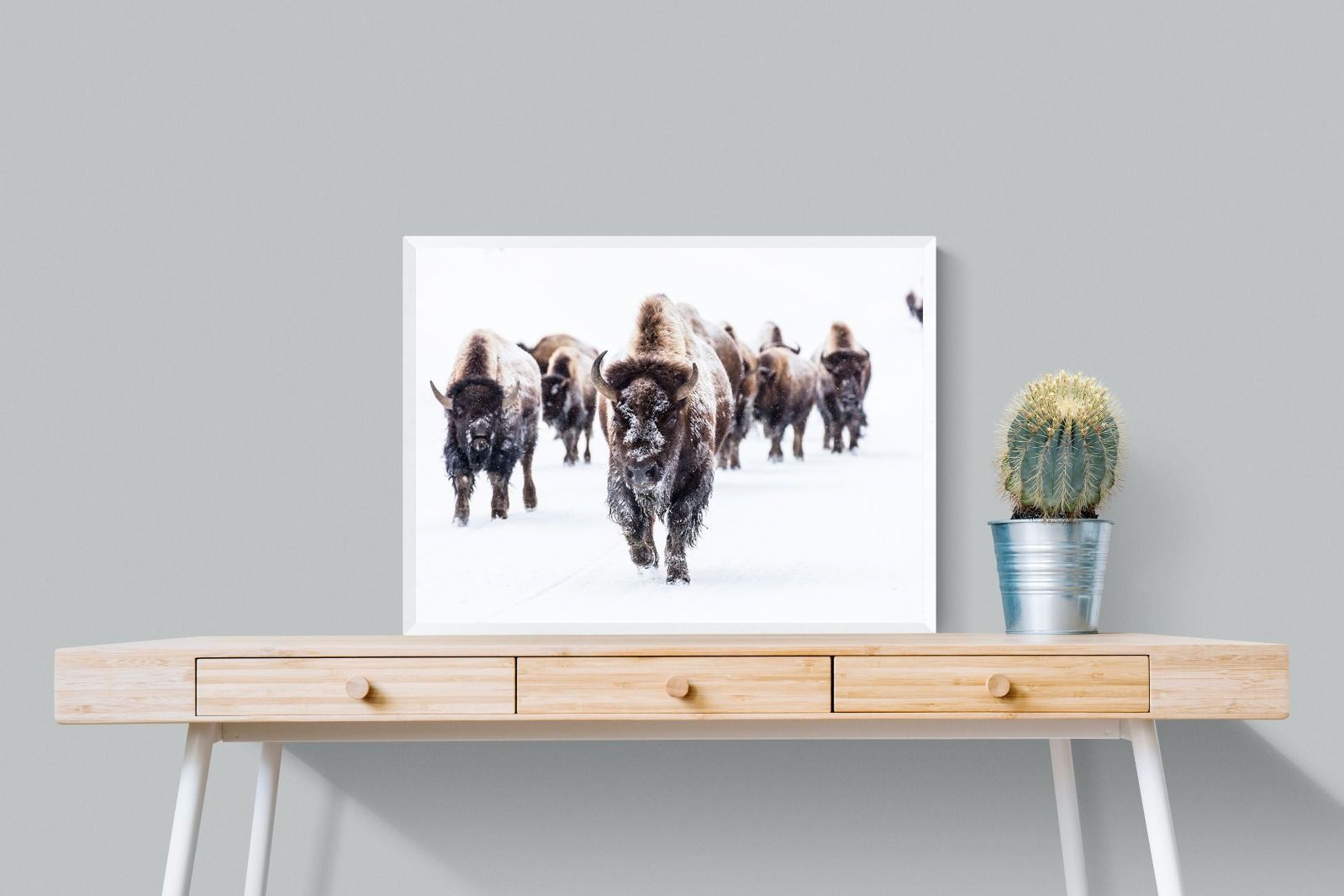 Pixalot Bison Herd