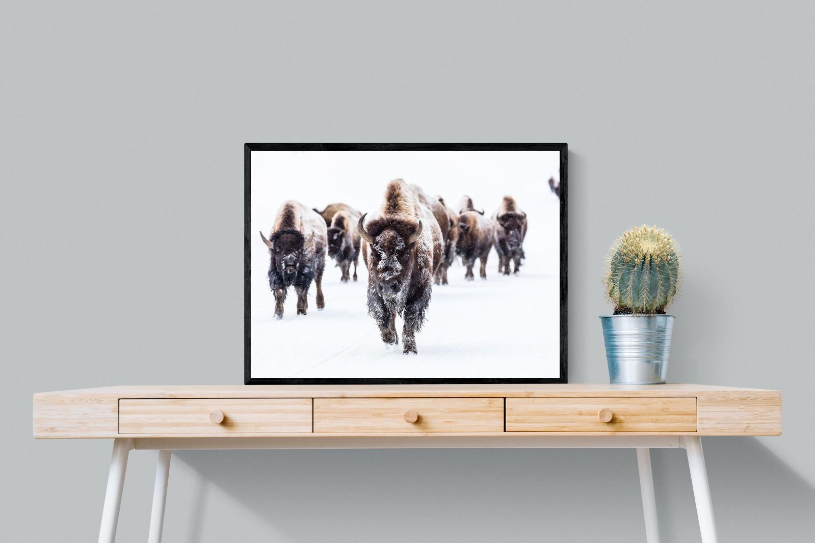 Pixalot Bison Herd