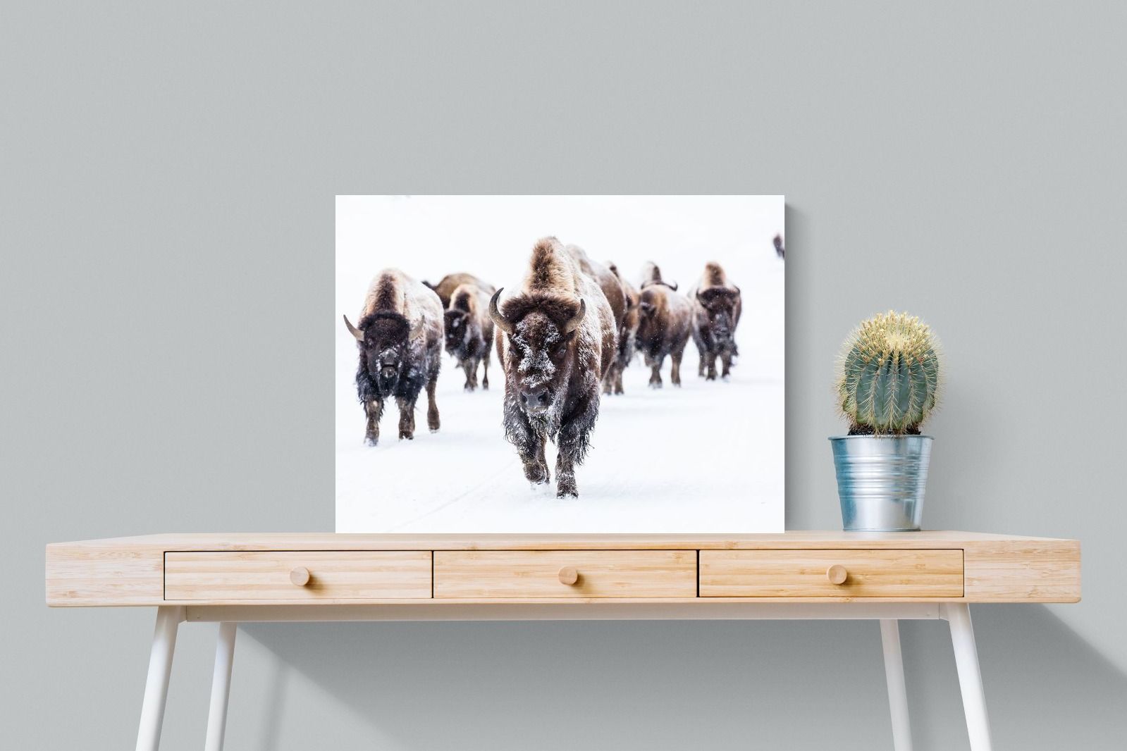 Pixalot Bison Herd