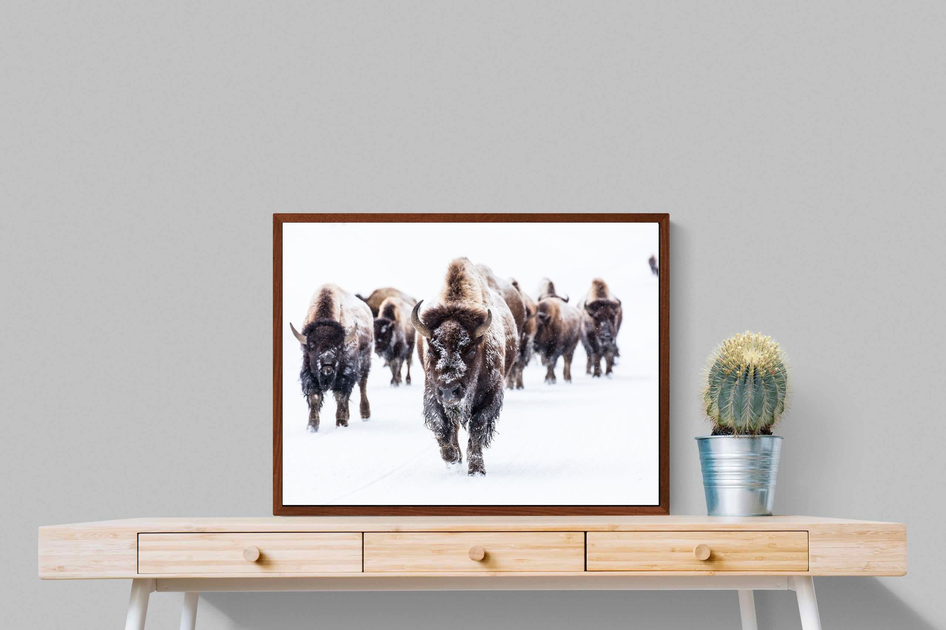 Pixalot ® Bison Herd