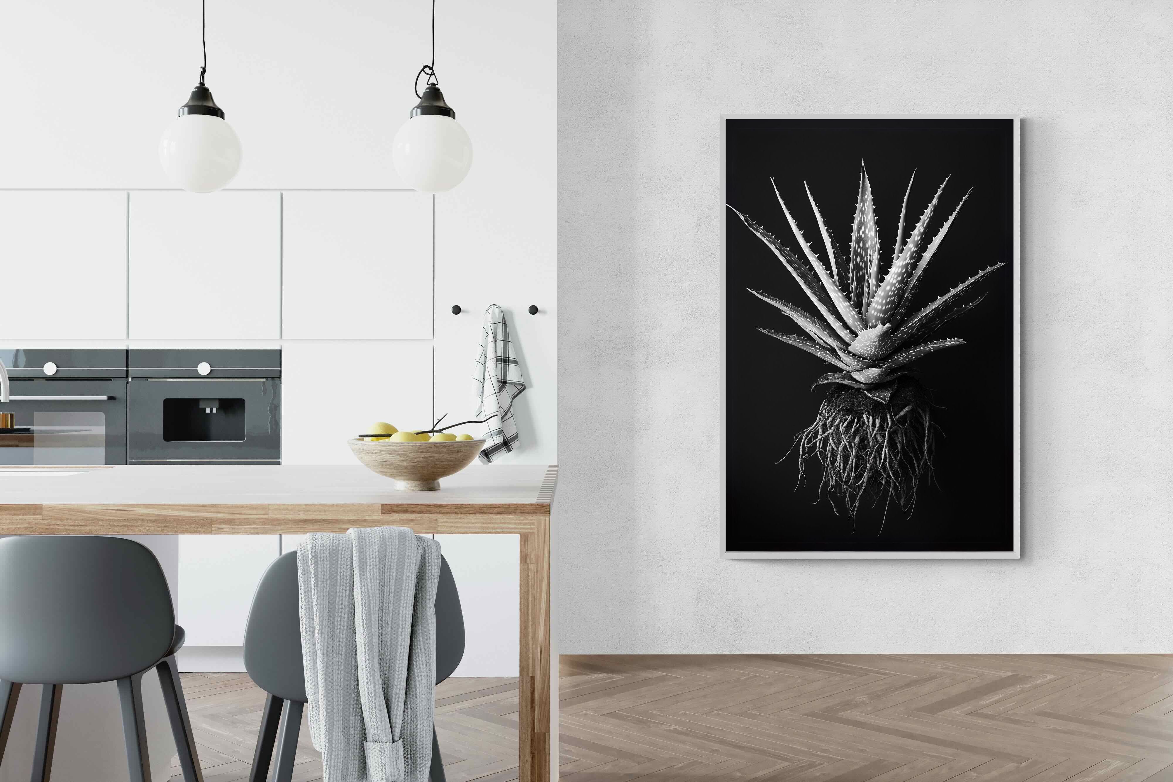 Pixalot Black Aloe