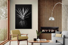 Pixalot Black Aloe