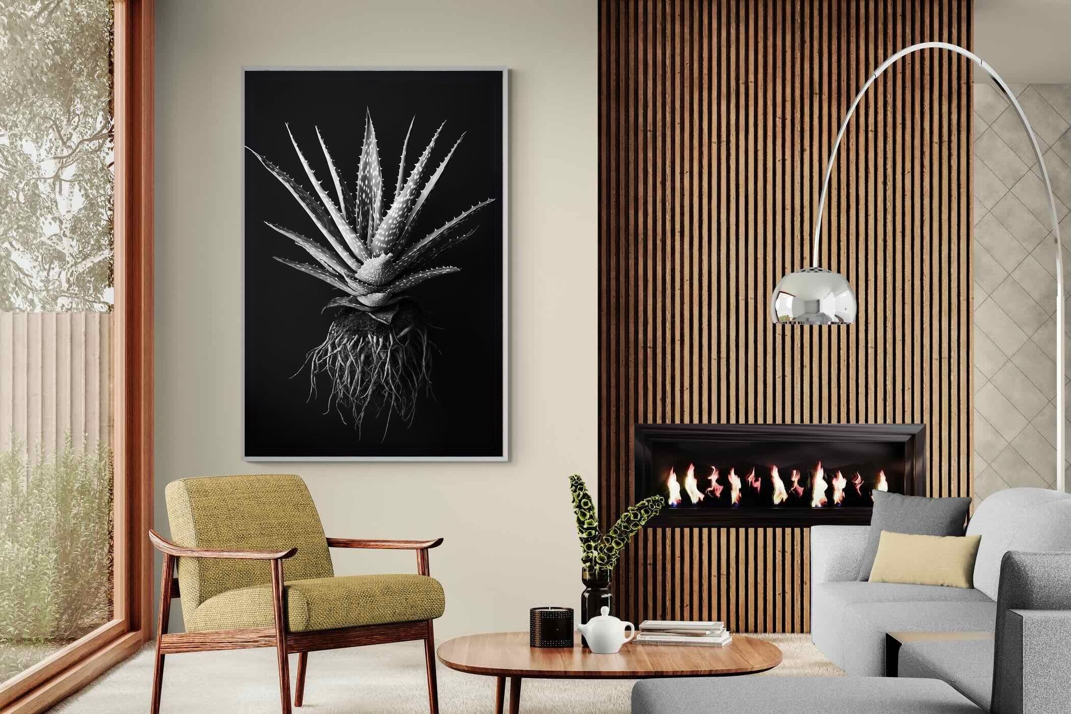 Pixalot Black Aloe