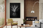 Pixalot Black Aloe