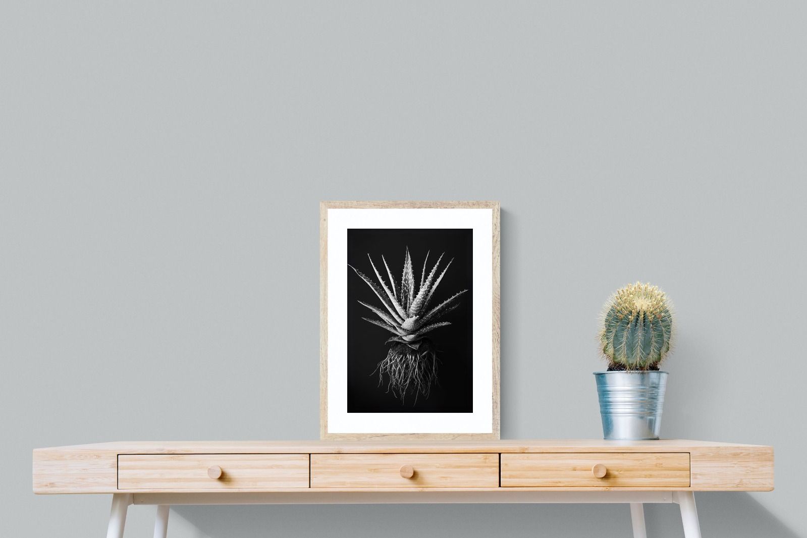 Pixalot Black Aloe