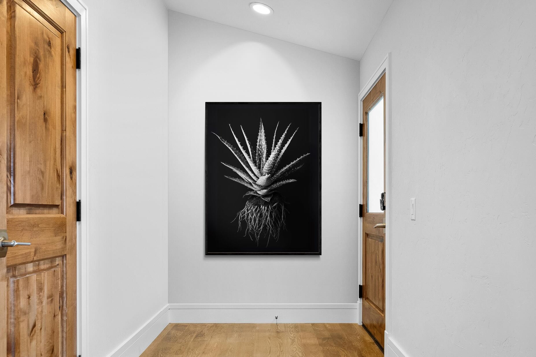 Pixalot Black Aloe
