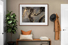 Pixalot ® Black & Gold Marble