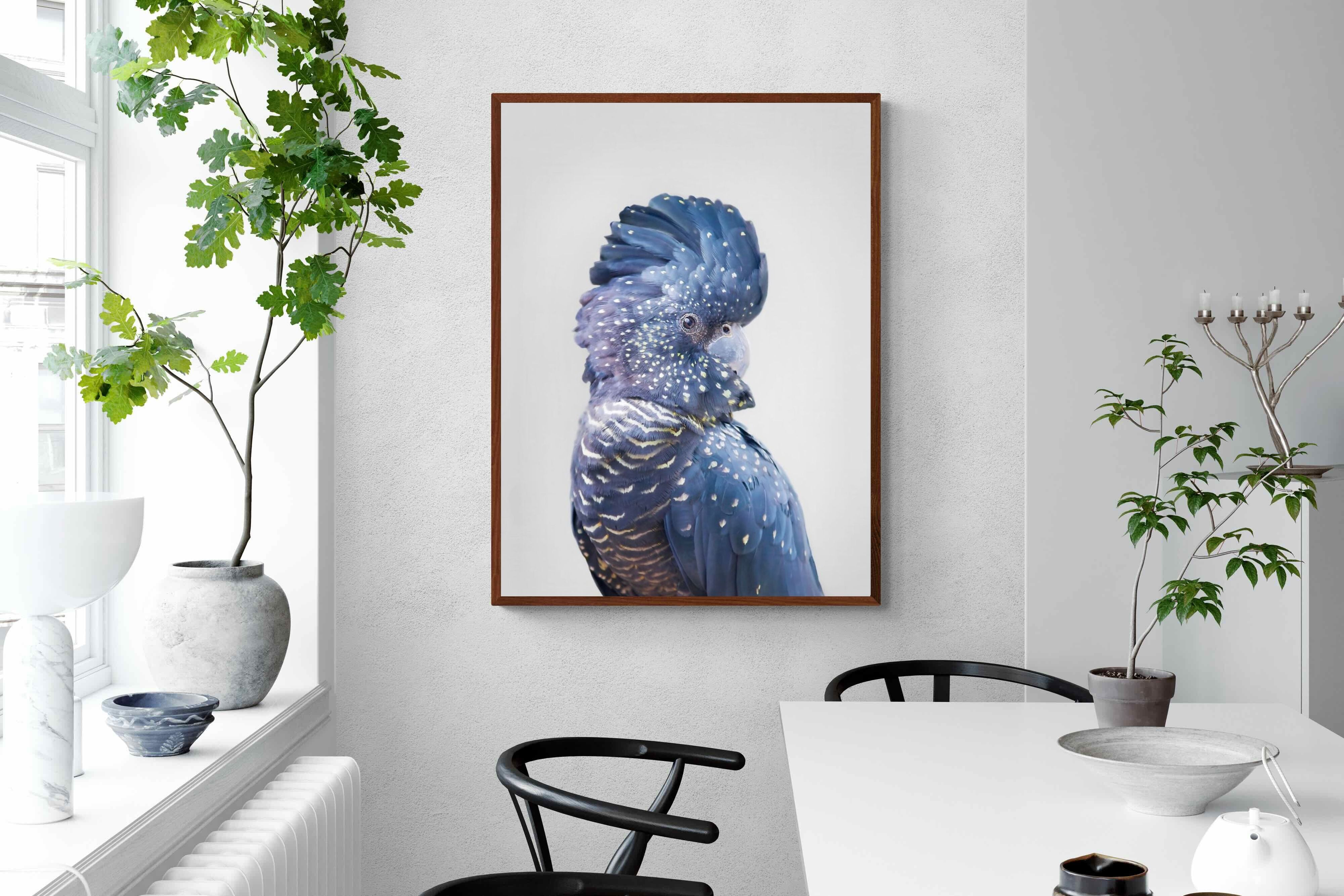 Pixalot Blue Cockatoo