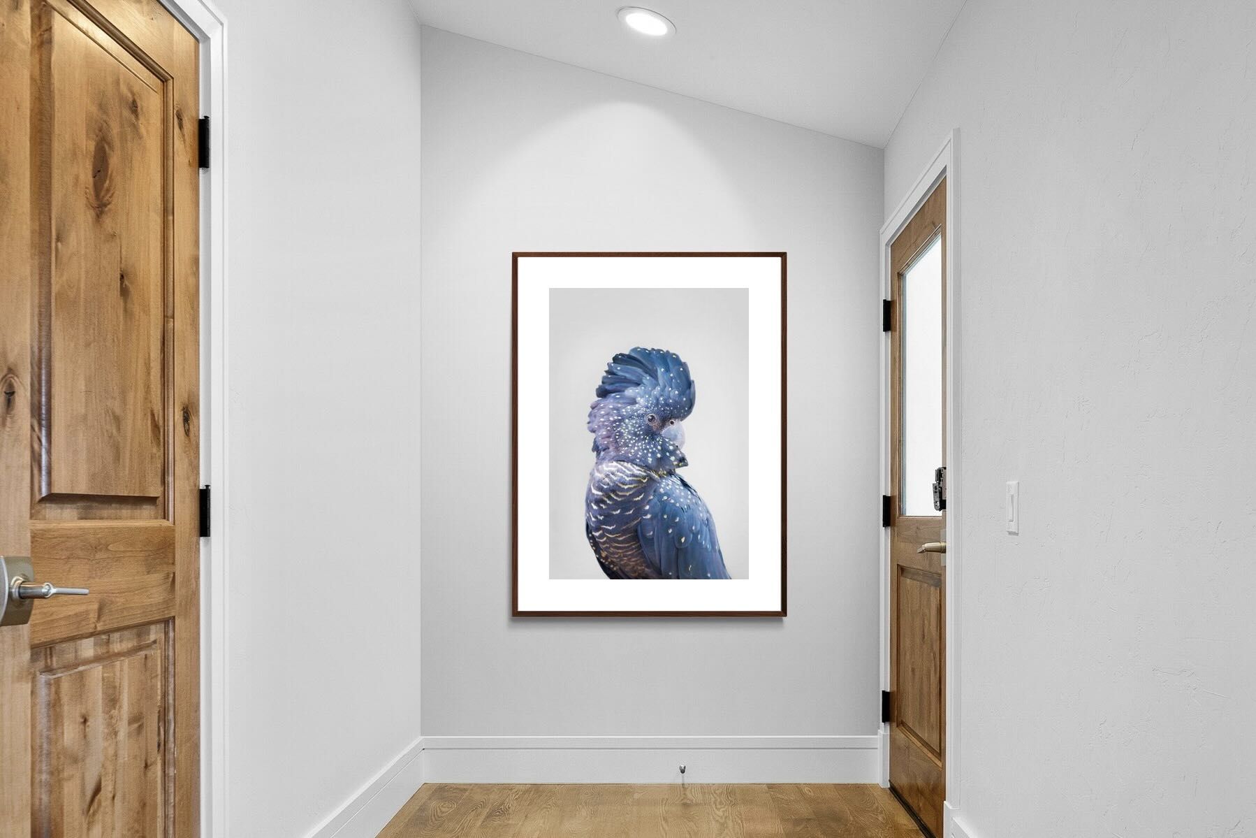 Pixalot Blue Cockatoo