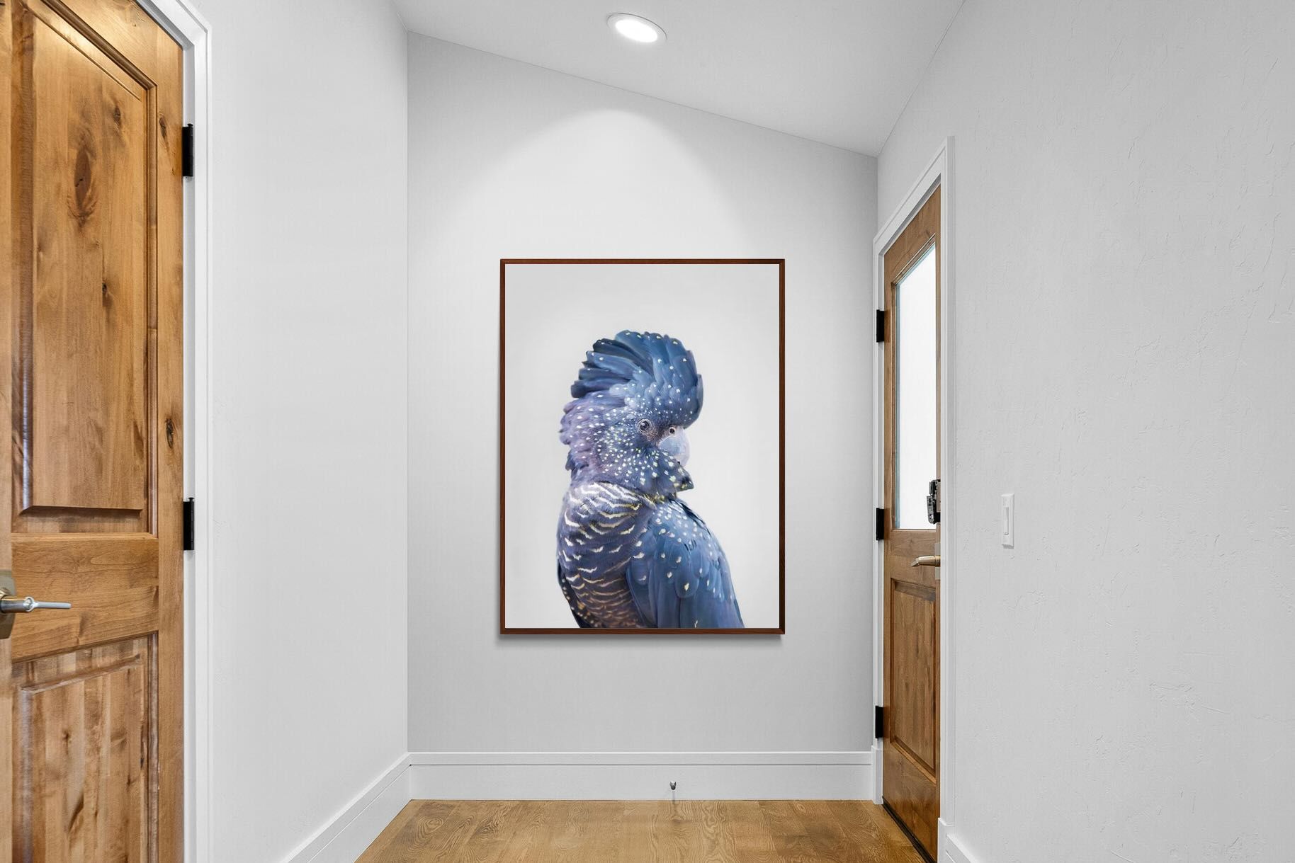 Pixalot Blue Cockatoo