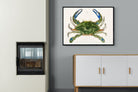 Pixalot ® Blue Crab Illustration