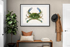 Pixalot ® Blue Crab Illustration