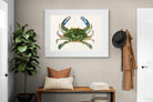 Pixalot ® Blue Crab Illustration