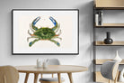 Pixalot ® Blue Crab Illustration