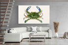 Pixalot ® Blue Crab Illustration