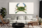Pixalot ® Blue Crab Illustration