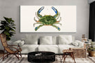 Pixalot ® Blue Crab Illustration