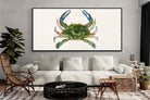 Pixalot ® Blue Crab Illustration
