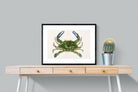 Pixalot ® Blue Crab Illustration