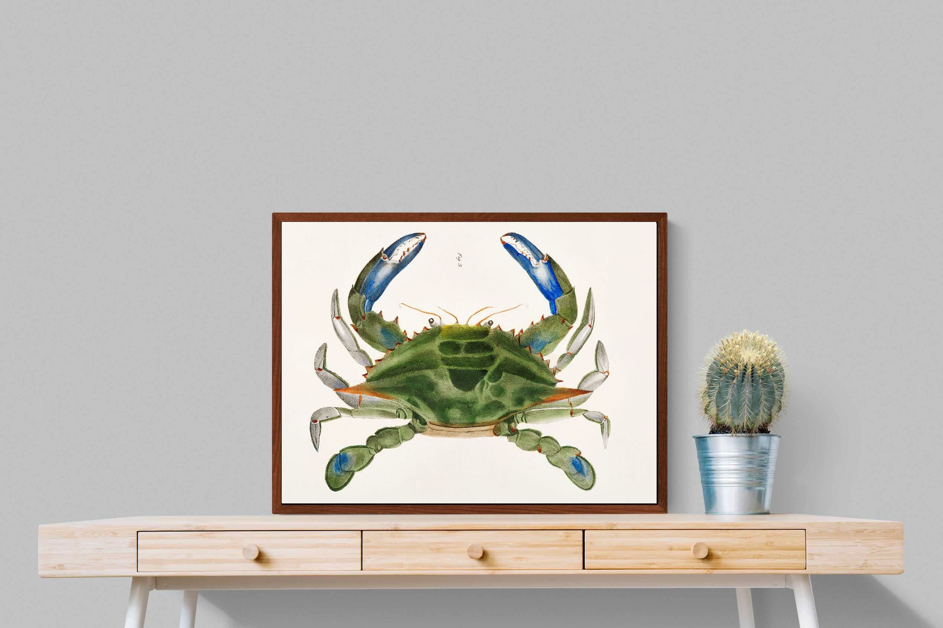 Pixalot ® Blue Crab Illustration