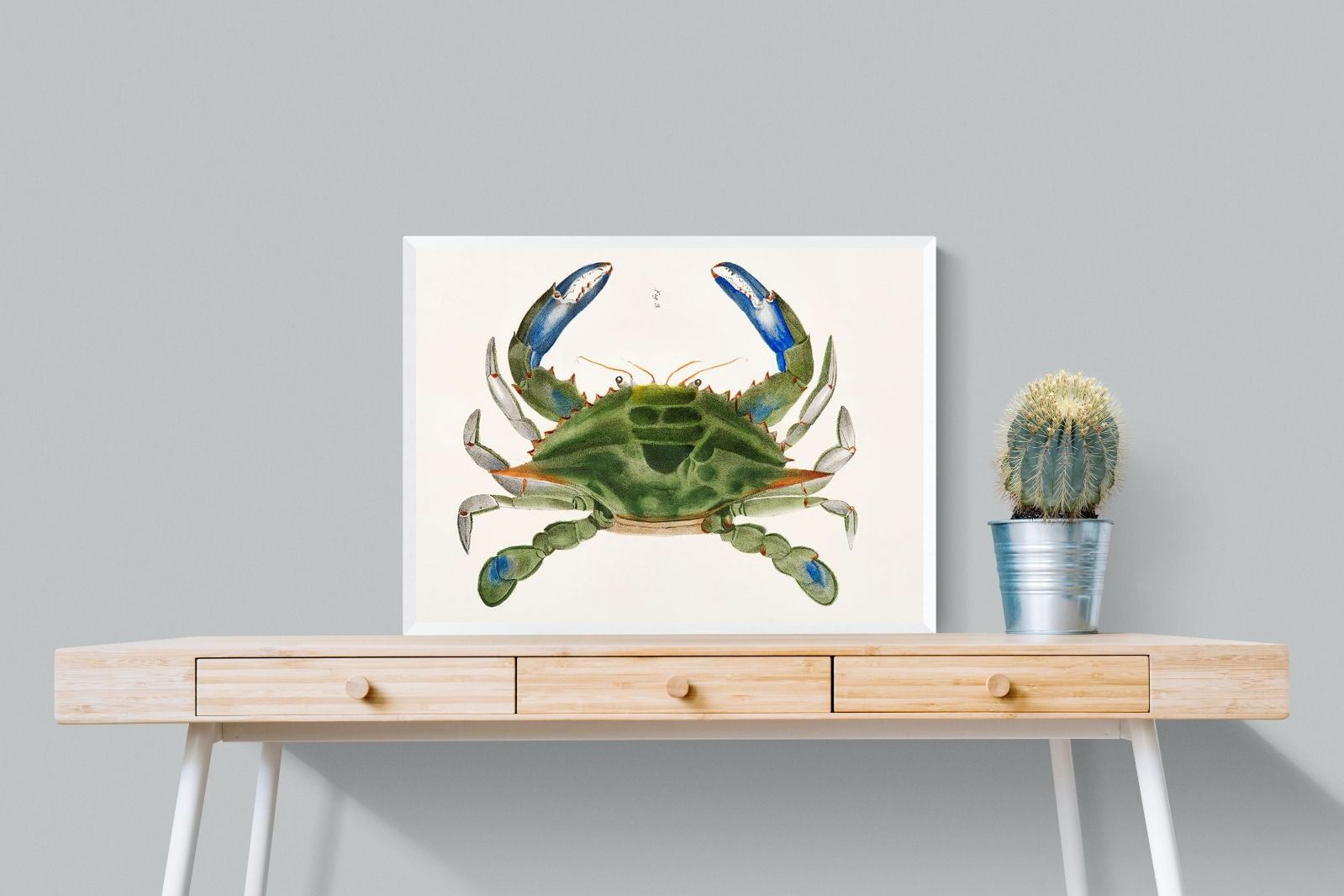 Pixalot ® Blue Crab Illustration