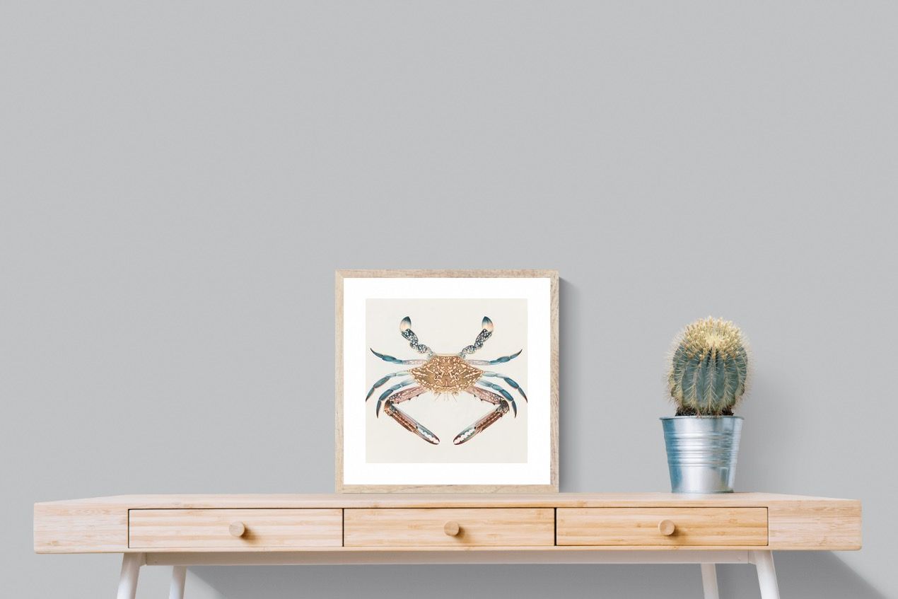 Pixalot Blue Crab