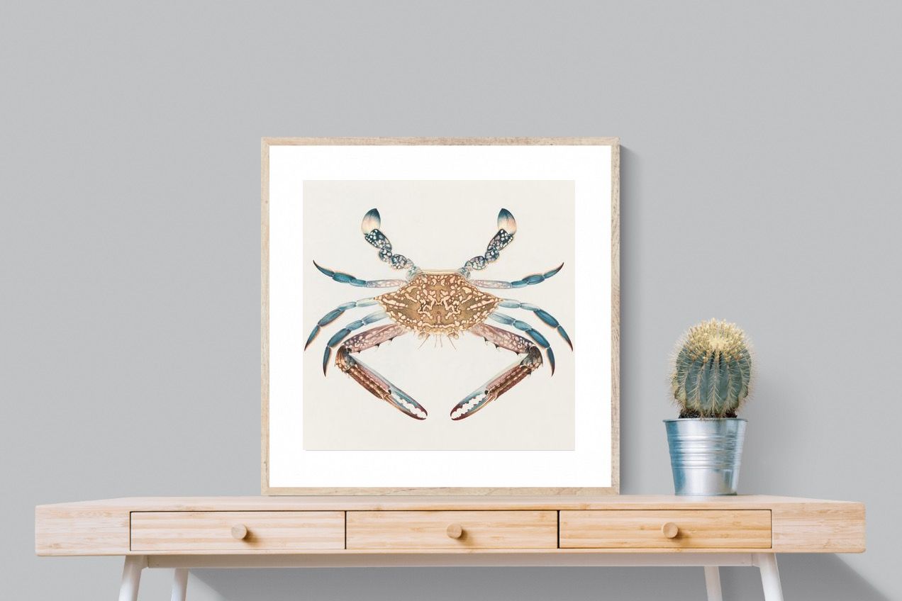 Pixalot Blue Crab