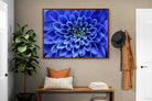 Pixalot ® Blue Petals